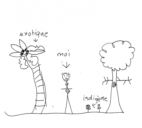 Figure 6. L’attrait pour l’exotisme vs la fierté de ses origines : la représentation de Bernard