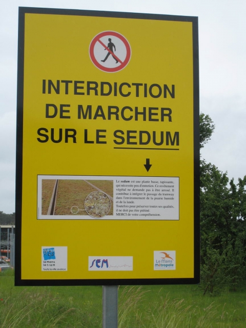Figure 5. Verdissement des voies de tram à Montpellier : panneau expliquant la plantation de sedum et invitant à ne pas le piétiner