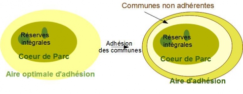 Figure 7. Adhésion des communes en "anneaux de Saturne", les communes les plus éloignées adhèrent à la charte, contrairement à celles qui sont à cheval sur le cœur