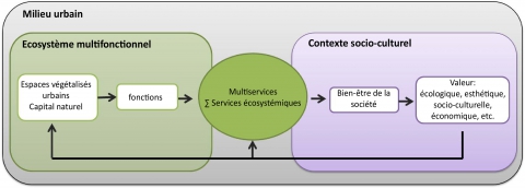 Figure 4. Cadre terminologique de référence