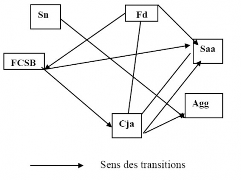 Figure 3. Synthèse des transitions majeures possibles pour la transformation des unités de l’occupation des terres / Synthesis of the major possible transitions of land cover units