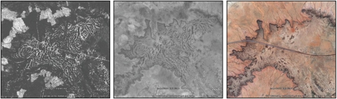 Figure 10. Évolution de la brousse tigrée au nord de Maourey Tonkobinkani entre 1965 et 2010