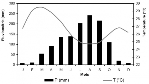 Figure 2. Diagramme ombro-thermique de la station synoptique de Korhogo de 1972 à 2000 / Ombro-thermical diagram of Korhogo snoptic station from 1972 to 2000.