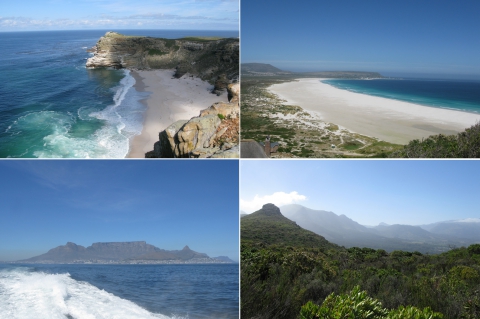 Figure 3. Géosymboles de la nature du Cap. En haut à gauche, Cap de Bonne-Espérance ; en haut à droite, plage de Noordhoek ; en bas à gauche, Montagne de la Table ; en bas à droite, Fynbos aux alentours de Silvermine.