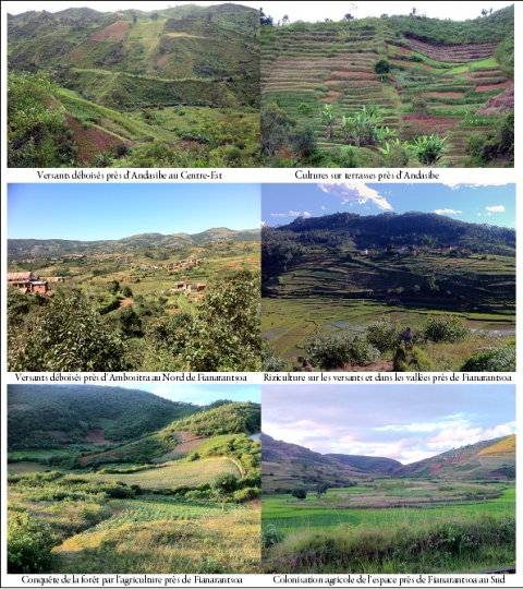 Figure 1. Déboisement et mise en culture des espaces forestiers à Madagascar : formes et ampleur de la dégradation d’un « bien public mondial »