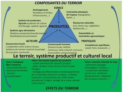 Figure 2. Représentation schématique du terroir comme système productif et culturel local