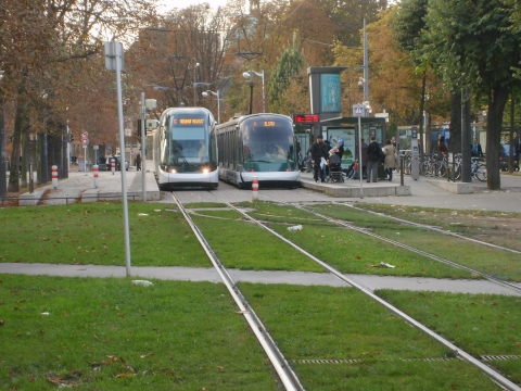 Figure 1. Rames du tramway à Strasbourg, Place de la République ; à droite, la première génération (Eurotram Bombardier) et, à gauche, la deuxième (Citadis Alstom)
