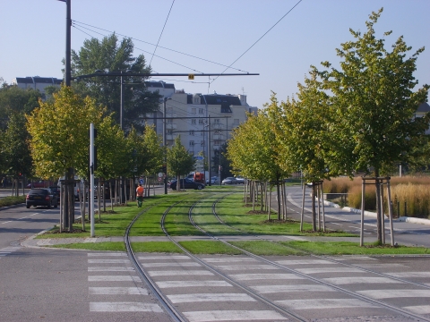 Figure 6. Verdissement des voies de tram à Strasbourg : engazonnement des emprises et plantations d’arbres, arrêt Pont Churchill