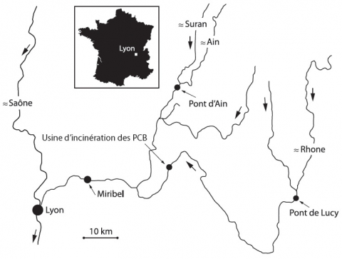 Figure 2. Localisation des points de mesure.