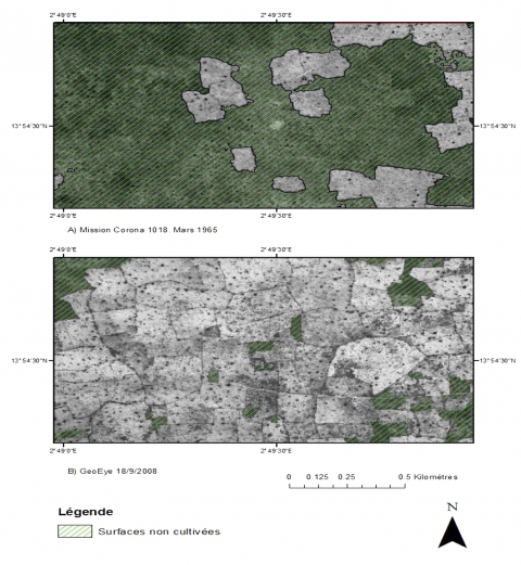 Figure 9. Évolution de l’occupation de sol dans la commune de Fabidji (terroir de plateau ; 4 km à l’ouest du village).