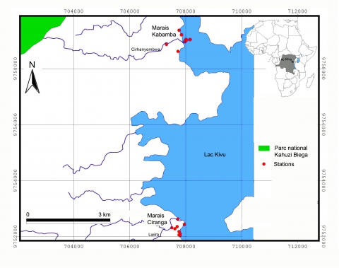 Figure 1. Carte localisant les marais Ciranga et Kabamba et les stations de prélèvement.