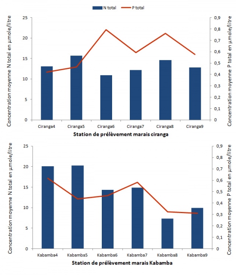 Figure 2. Variation moyenne des nutriments dans les sites de prélèvement des marais de Ciranga et Kabamba.