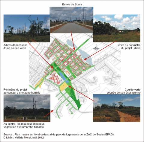 Figure 2. L’intégration de la biodiversité dans le projet de parc de logements de la ZAC de Soula (commune de Macouria).