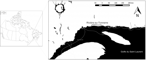 Figure 1. Localisation de la municipalité de Rivière-au-Tonnerre sur la Côte-Nord du Golfe du Saint-Laurent