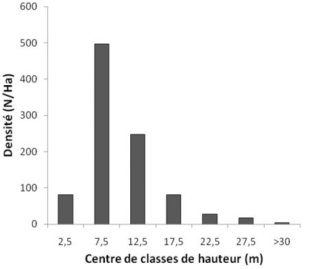 Figure 3. Distribution des individus en classes de hauteur.