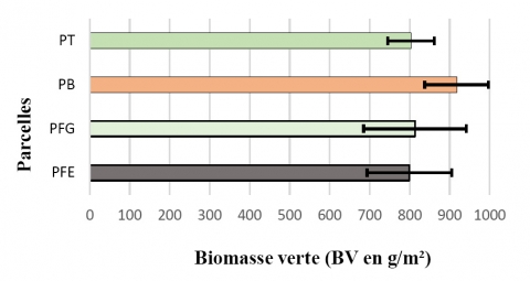 Figure 5. Biomasse verte par traitement.
