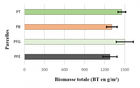 Figure 9. Biomasse totale herbacée par traitement.