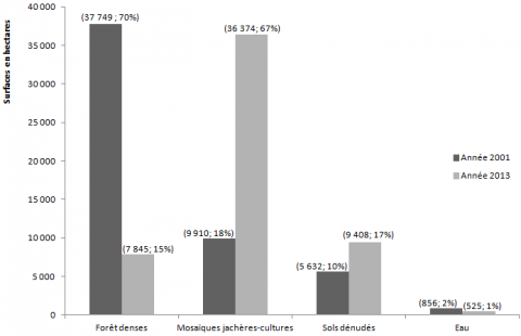 Figure 8. Évolution de la surface des types d’occupation de sol de la forêt classée du Haut-Sassandra de 2001 à 2013 et de sa périphérie / Evolution of land use types surface of the forest classified of Haut-Sassandra from 2001 till 2013.