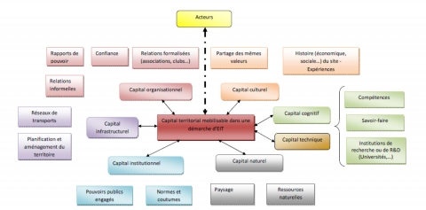 Figure 2. Les composantes du capital territorial (Gobert et Brullot, 2015).