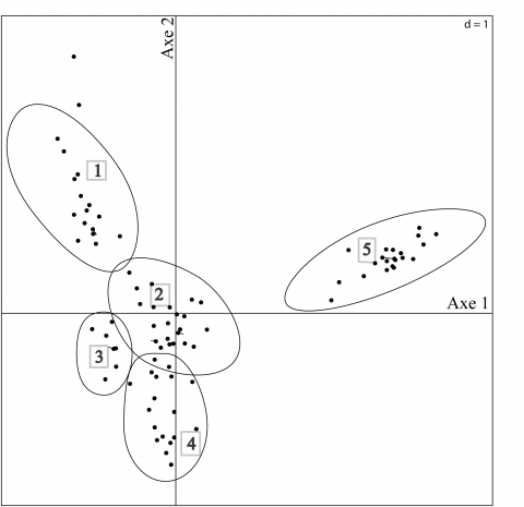 Figure 6. Typologie de la végétation le long du gradient climatique.