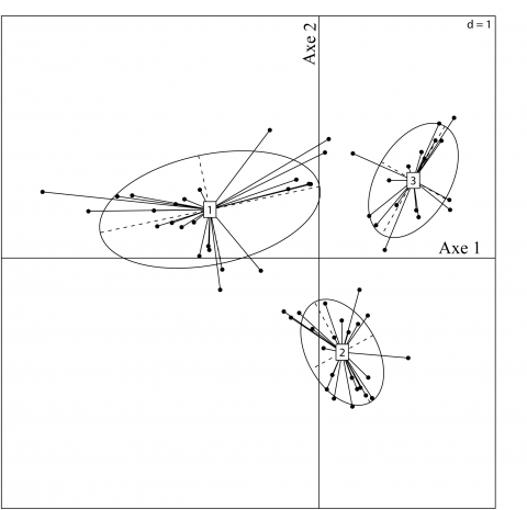 Figure 7. Typologie de la végétation dans le domaine savanicole.