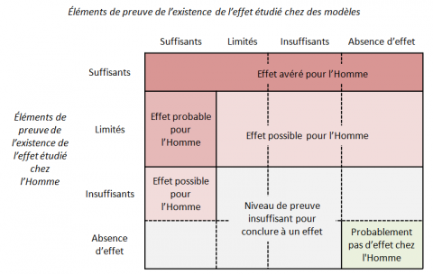 Figure 1. Évaluation du niveau de preuve pour un effet donné en fonction des éléments de preuve de l’existence d’un effet chez l’homme et chez l’animal.