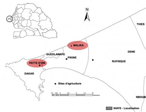 Figure 1. Situation géographique de la zone des Niayes de Dakar et localisation des zones d’études (adapté de Ndiaye 2009).