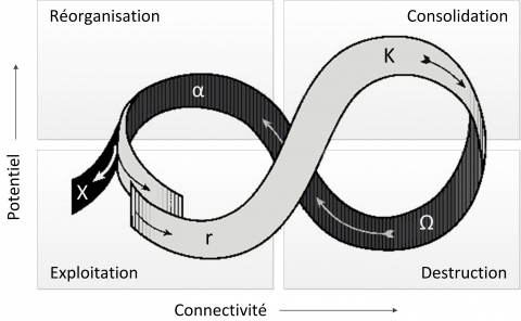 Figure 1. La célèbre image du cercle adaptatif.