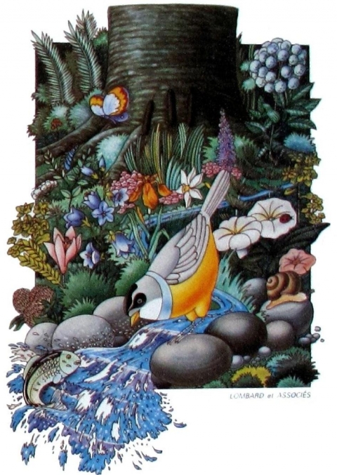 Figure 3. Illustration de la couverture du 5ème PI de l’AE LB (1987-1991) sur laquelle le milieu naturel apparaît comme objet d’affichage et de communication.