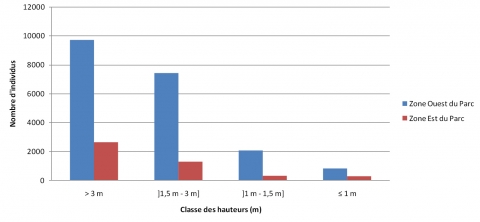 Figure 4. Distribution des classes de hauteur dans les deux zones du PNW.
