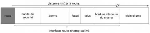 Figure 1. Les principaux compartiments de l’interface route-champ cultivée, parmi lesquels ceux retenus dans cette étude : berme, talus, bordure intérieure du champ / The spatial pattern of the road-field boundary and the three studied sections: the berm, the embankment, and the field margin.