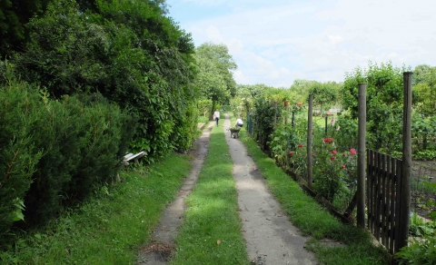 Figure 4. Cheminements à l’intérieur du collectif de jardins Robert Féron à Garches (92).