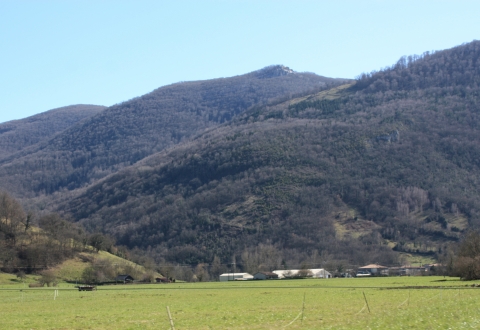 Figure 13. Abandon et embroussaillement des zones de pentes à Cazavet (Ariège) / Abandonment and encroachment of steep slopes in Cazavet (Ariege).