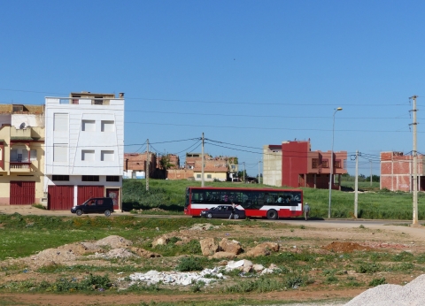 Figure 4. Urbanisation dans la commune de Sebaâ Ayoune par mitage des champs : la ville à la campagne.