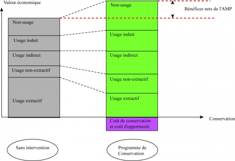 Figure 1. Représentation schématique de l’évolution de VET au cours de la mise en place d’un programme de conservation