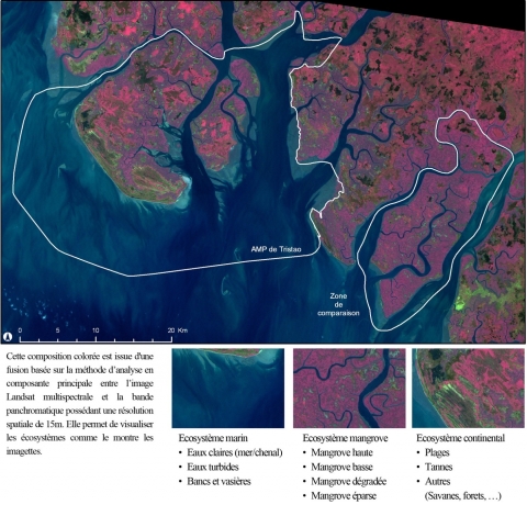 Figure 3. Image Landsat multispectrale fusionnée avec la bande panchromatique et visualisation des écosystèmes ciblés
