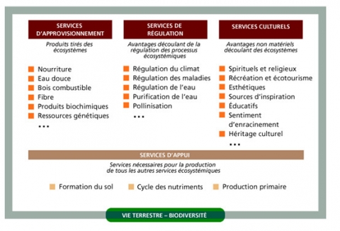 Figure 1. Catégories de services écosystémiques