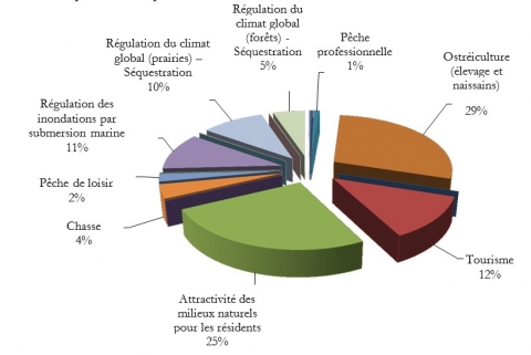 Figure 5. Répartition des bénéfices des politiques de gestion des sites du Conservatoire du Littoral sur le Bassin d’Arcachon.