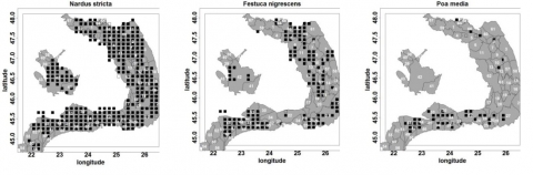 Figure 10. La distribution des espèces dominantes utilisées pour décrire la végétation des prairies acides secondaires de l’étage alpin et subalpin