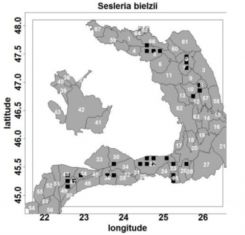 Figure 12. La distribution des espèces du genre Sesleria a permis de différencier les prairies primaires avec le substrat de base dominé par Carex sempervirens.