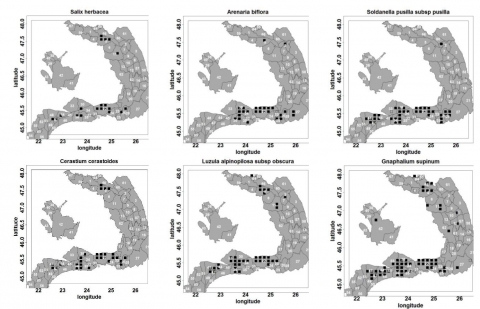 Figure 14. La distribution des espèces dominantes utilisées pour décrire la végétation des communautés cryophyles avec un substrat acide de l’étage alpin et subalpin.