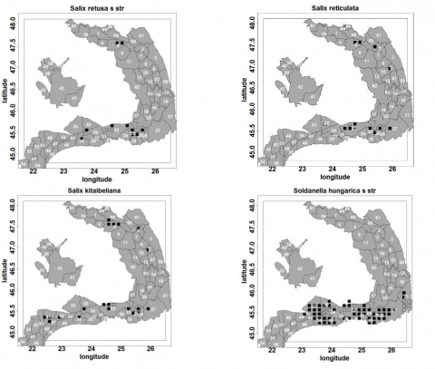 Figure 15. La distribution des espèces dominantes utilisées pour décrire la végétation des communautés cryophyles des substrats calcaires de l’étage alpin.