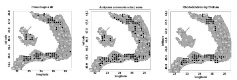 Figure 16. La répartition des espèces dominantes utilisées pour décrire la végétation des arbustes de la chaîne des Carpates (classe Vaccinio – Piceetea)