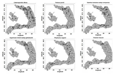 Figure 19. La distribution des espèces sélectionnées utilisées pour décrire la végétation des hautes herbes des localités sous-exposées de l’étage alpin et subalpin.