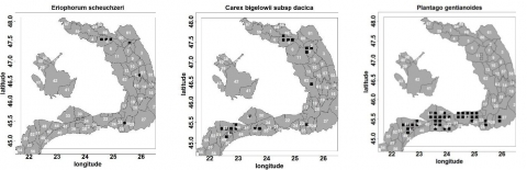 Figure 21. La répartition des espèces dominantes utilisée pour décrire la végétation des marais mésotrophes et eutrophes de l’étage alpin et subalpin