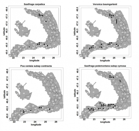 Figure 5. La distribution des espèces endémiques et CB utilisées pour décrire la végétation de l'écran acide typique pour les ceintures alpines et subalpines