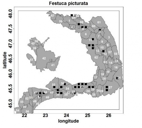 Figure 6. La répartition de Festuca picturata dans les Carpates Roumaines