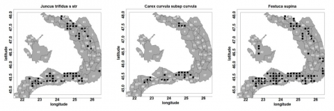 Figure 7. La répartition des espèces dominantes utilisée pour décrire la végétation des prairies acides primaires de l’étage alpine et subalpin.