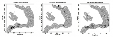 Figure 8. La distribution des espèces dominantes utilisées pour décrire la végétation des arbustes arctiques et boréaux cryophiles de la zone alpine et subalpine