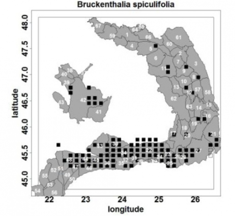 Figure 9. La distribution du petit arbuste Bruckenthalia spiculifolia dans les Carpates